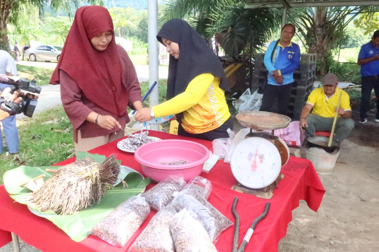 ภาพประกอบที่ 44