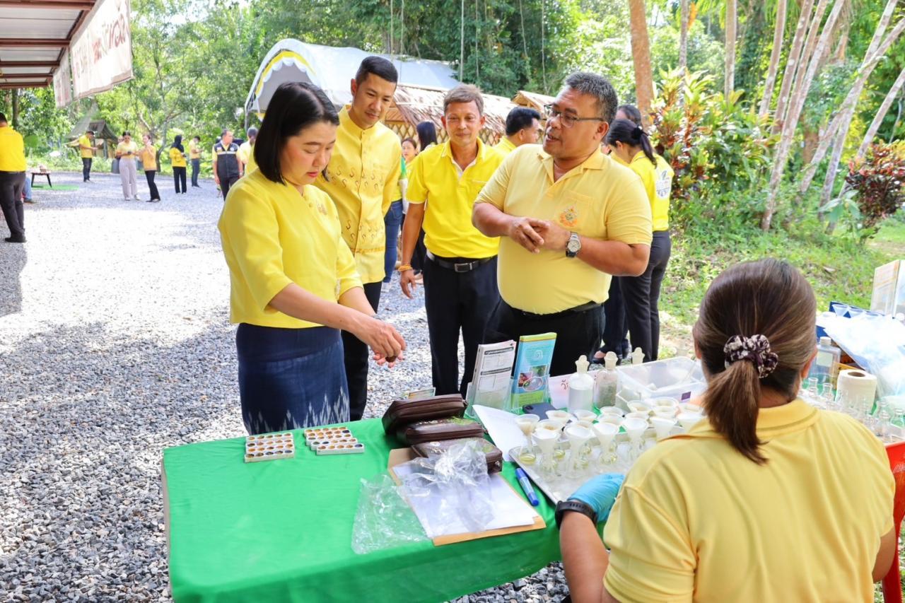 ภาพประกอบที่ 17