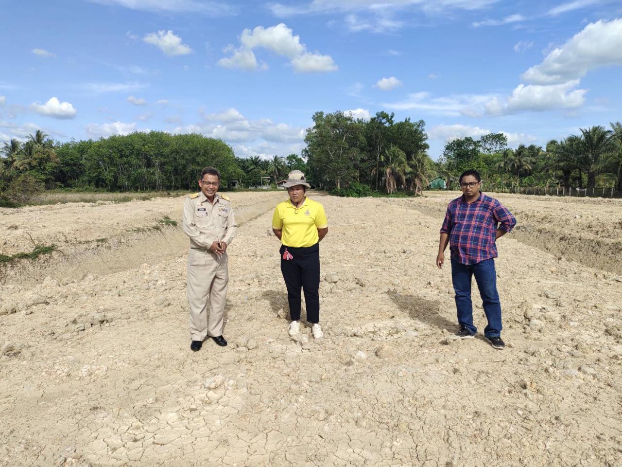 ภาพประกอบที่ 2