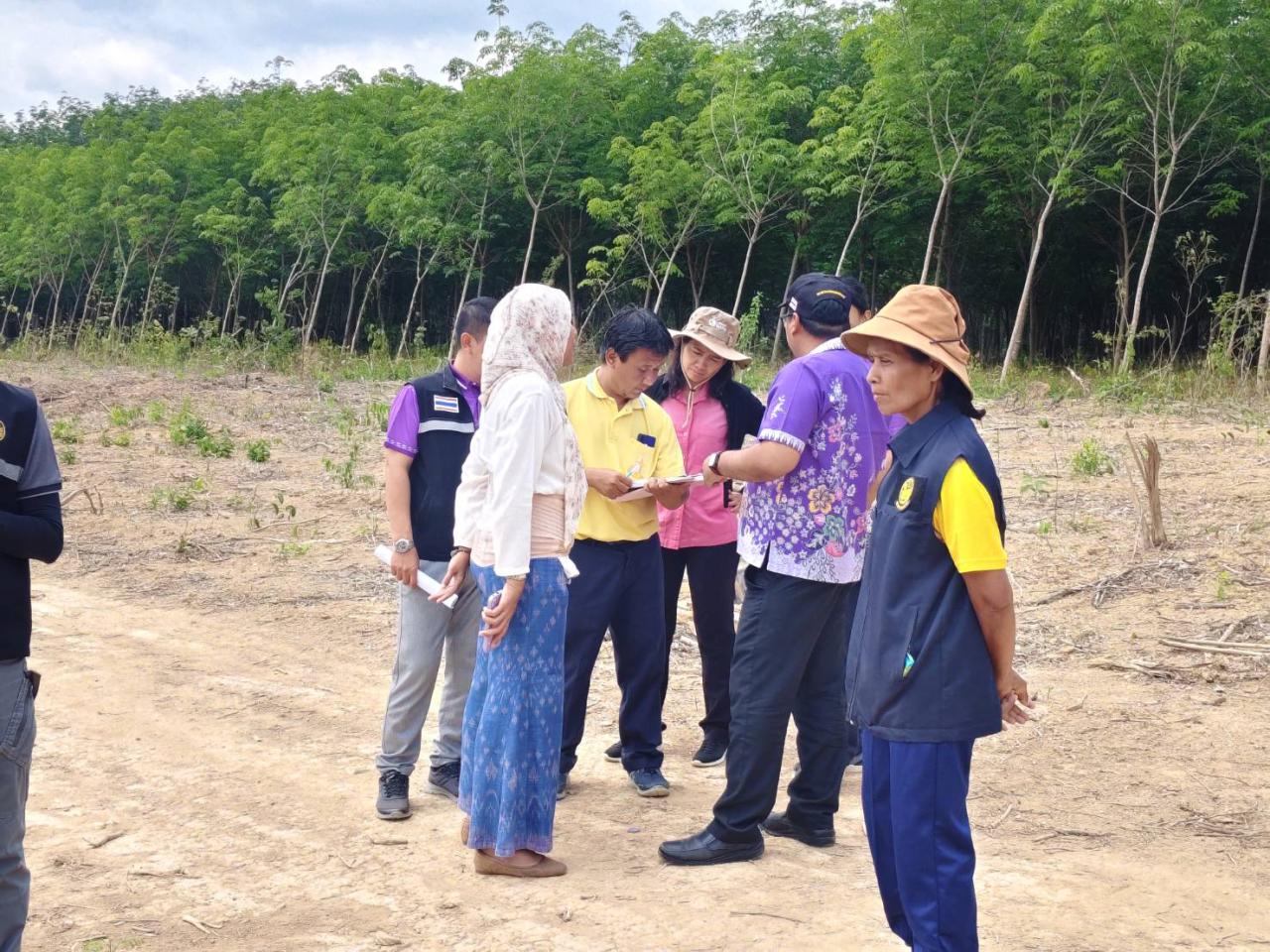 ภาพประกอบที่ 1