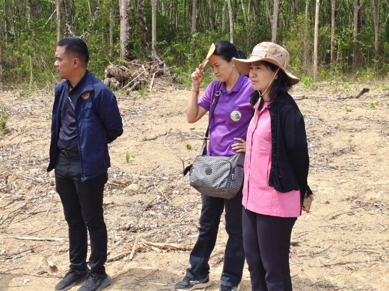 ภาพประกอบที่ 5