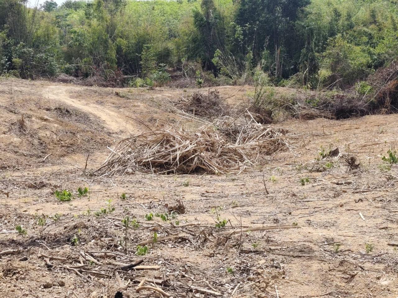 ภาพประกอบที่ 7