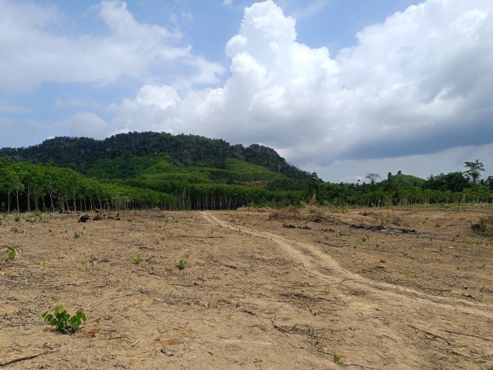 ภาพประกอบที่ 8