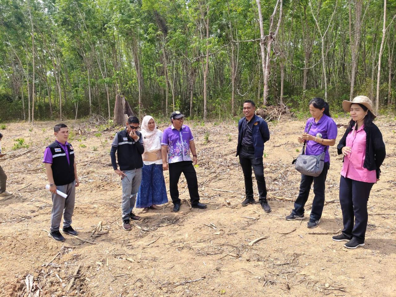 ภาพประกอบที่ 11