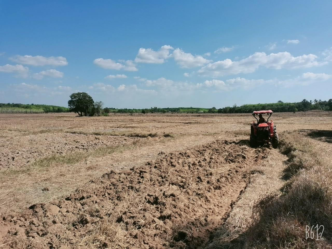 ภาพประกอบที่ 10