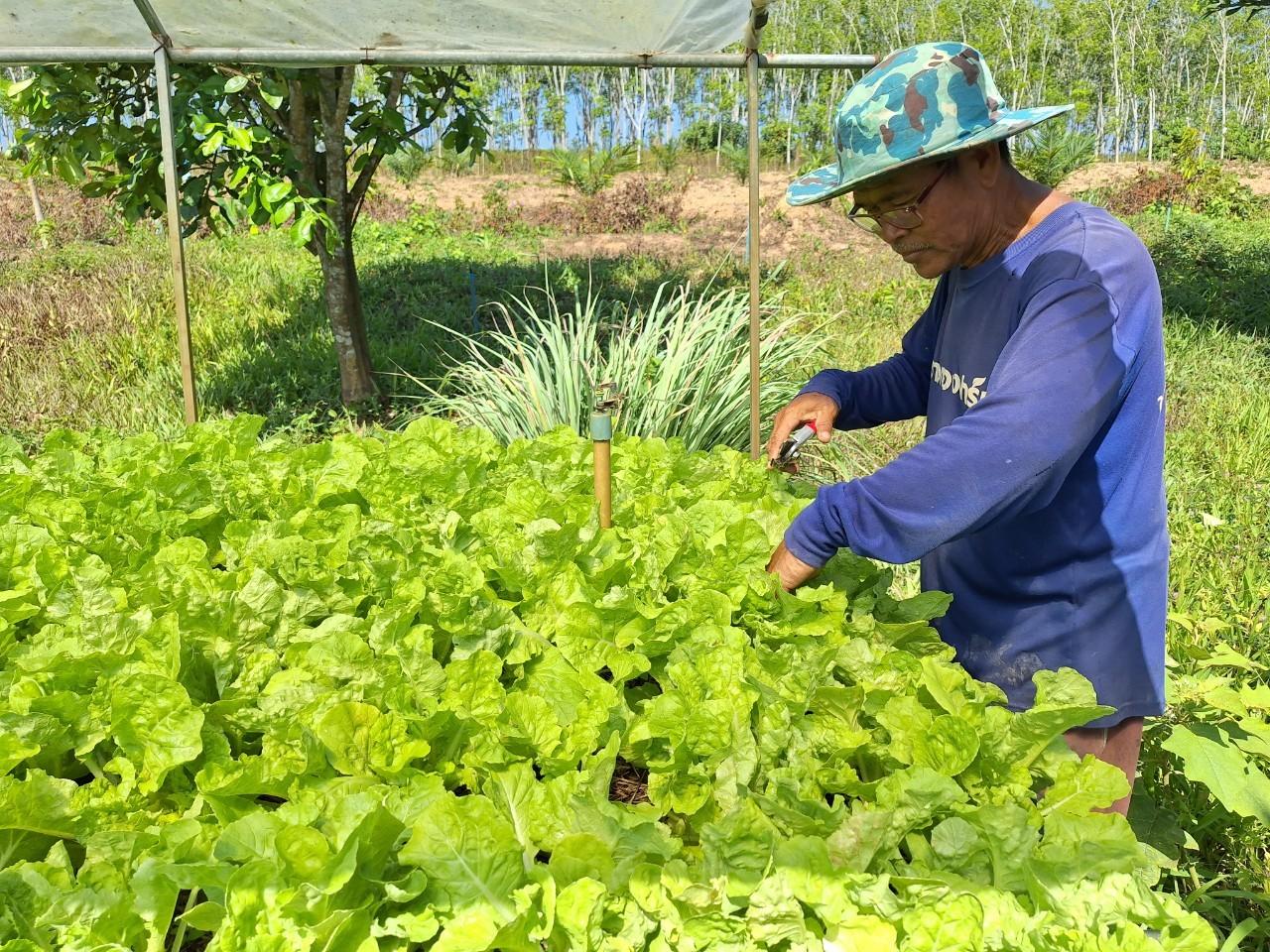 ภาพประกอบที่ 3