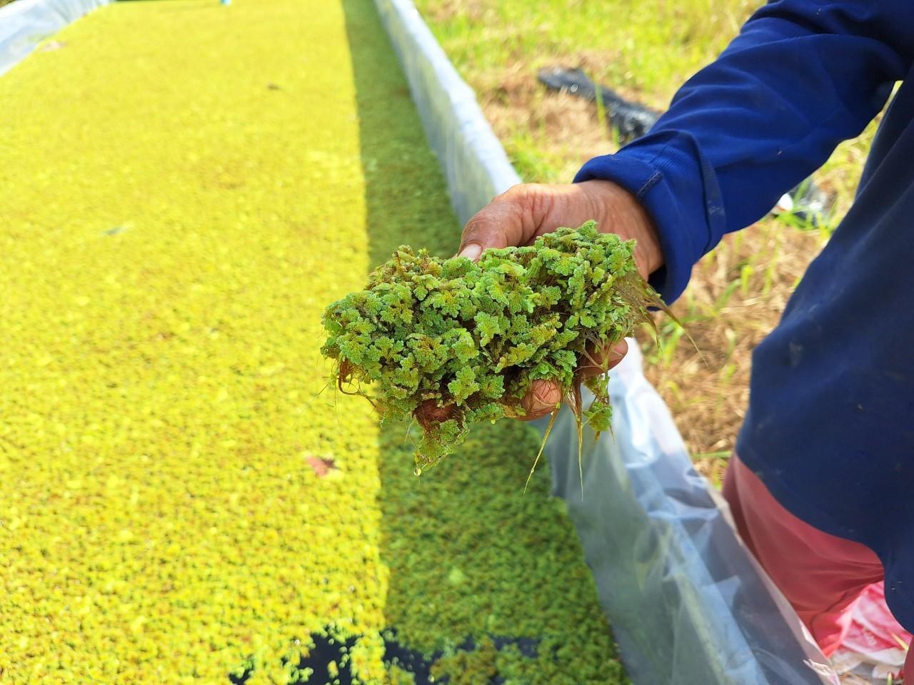 ภาพประกอบที่ 5