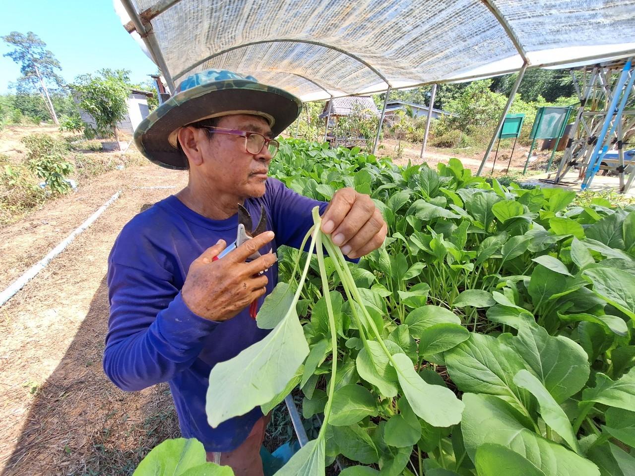 ภาพประกอบที่ 6