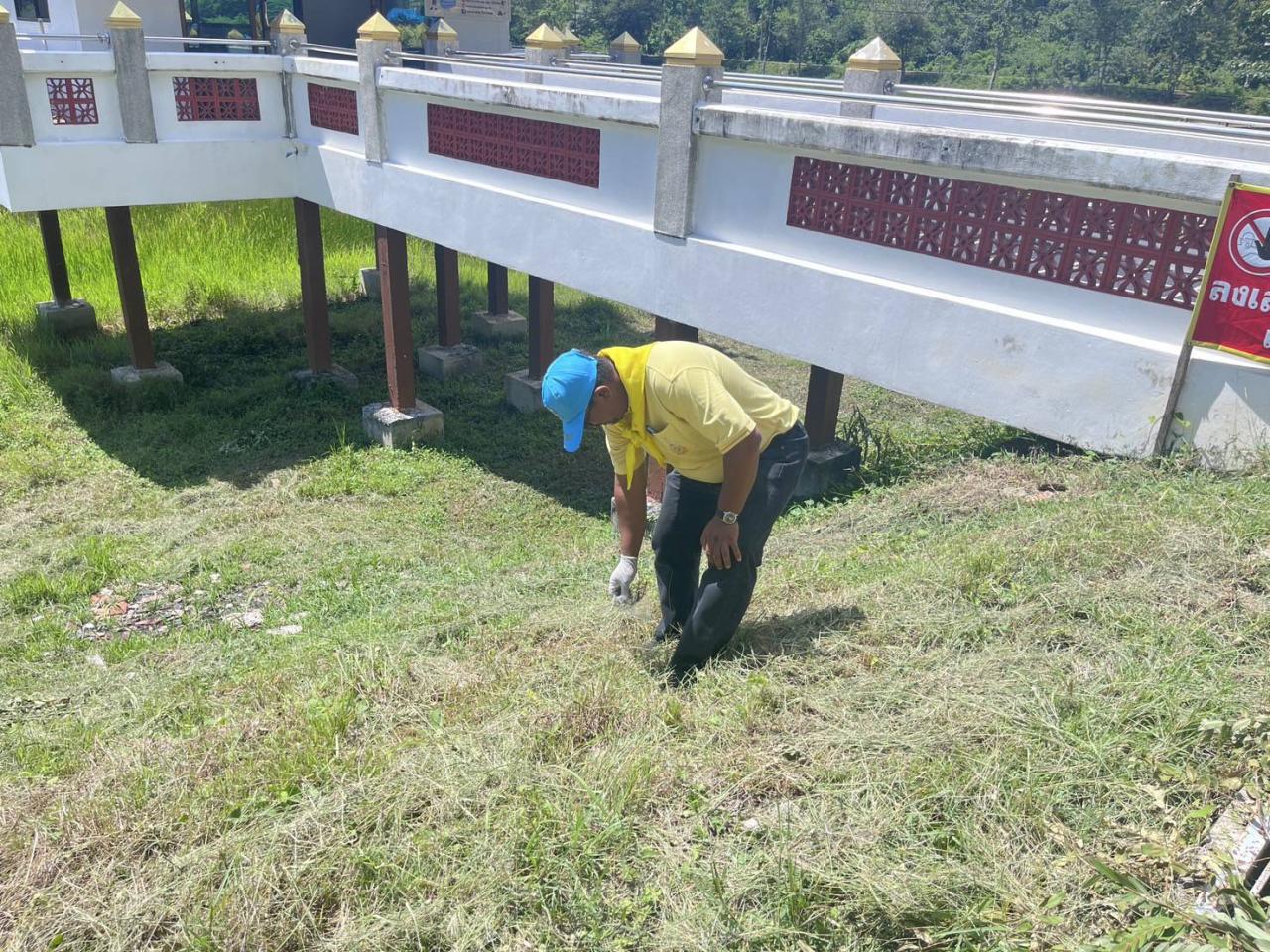 ภาพประกอบที่ 5