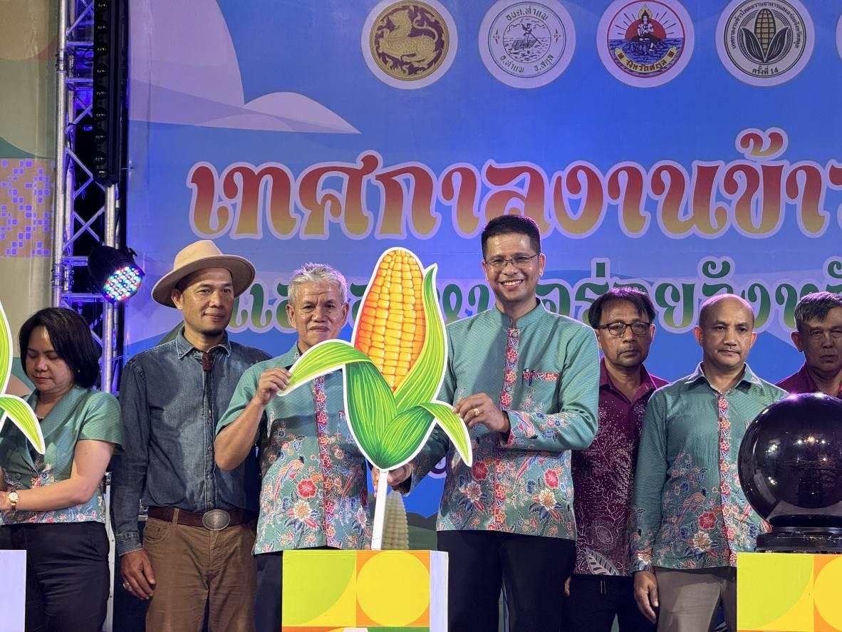 ภาพประกอบที่ 9