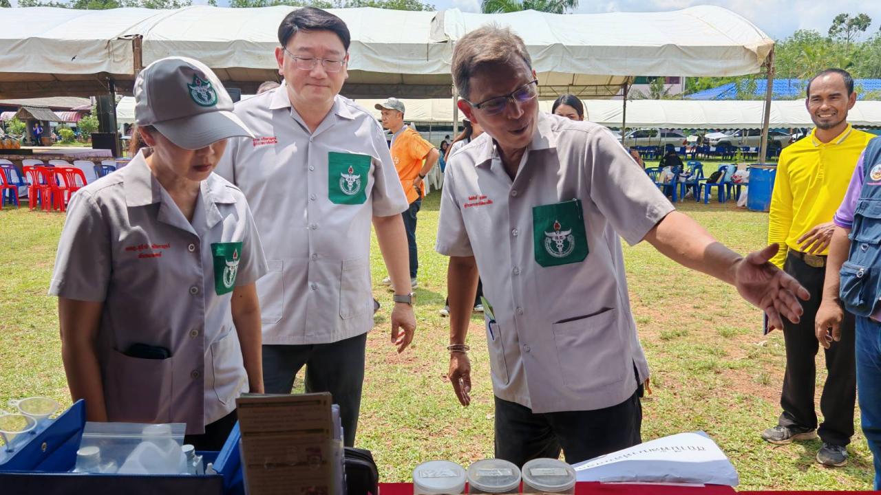 ภาพประกอบที่ 11