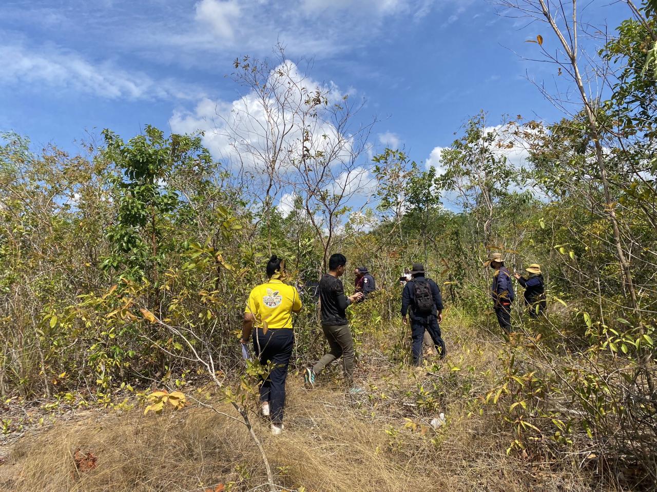 ภาพประกอบที่ 5