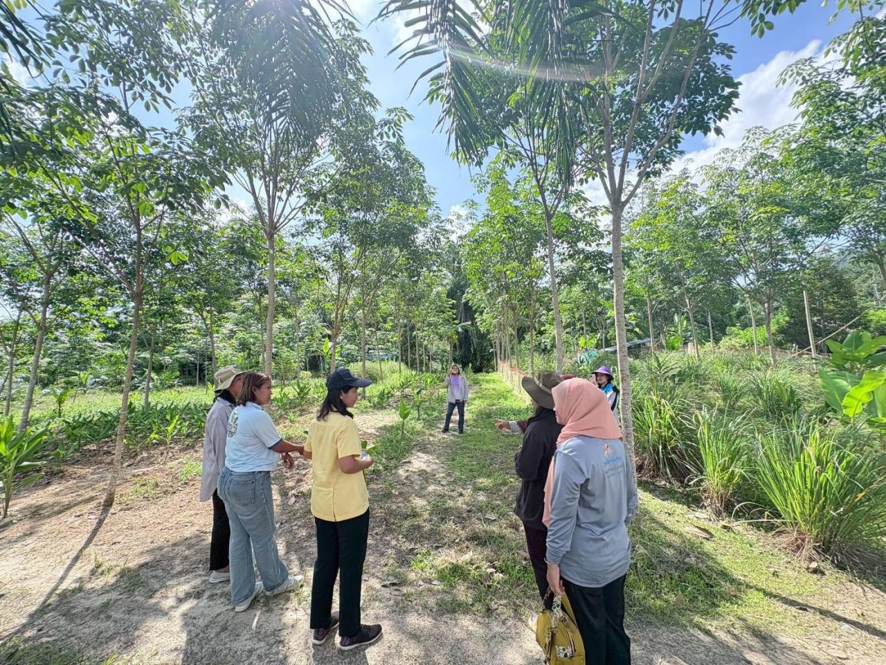 ภาพประกอบที่ 7