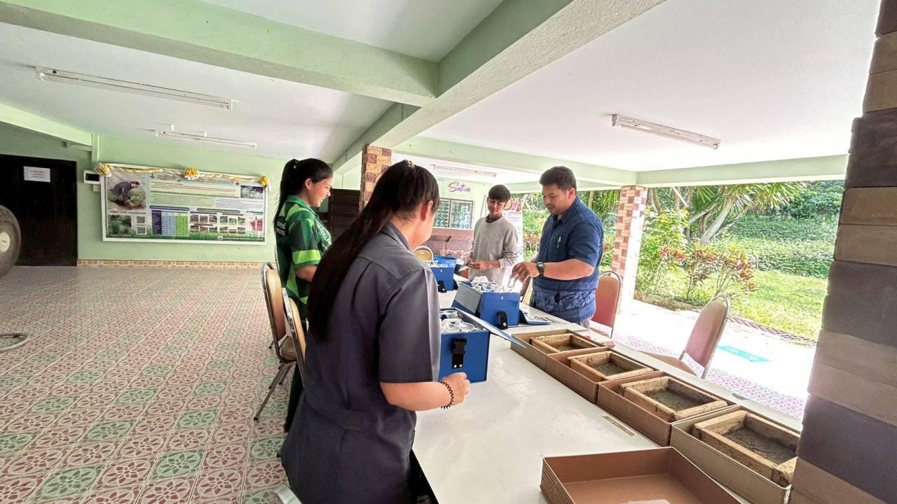 ภาพประกอบที่ 1