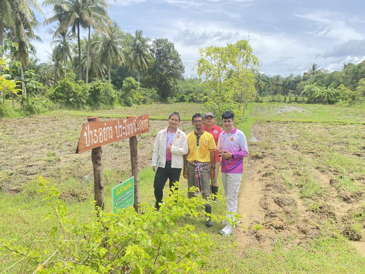 ภาพประกอบที่ 13
