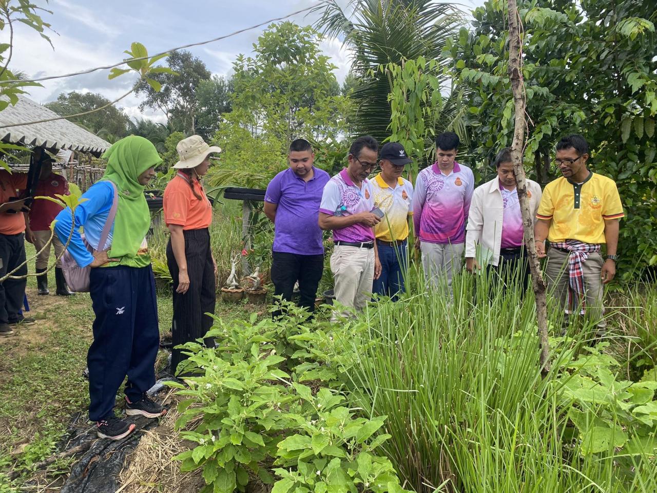 ภาพประกอบที่ 14
