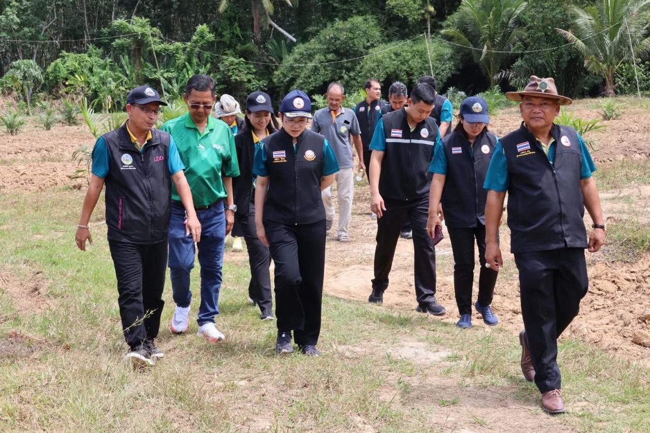 ภาพประกอบที่ 3