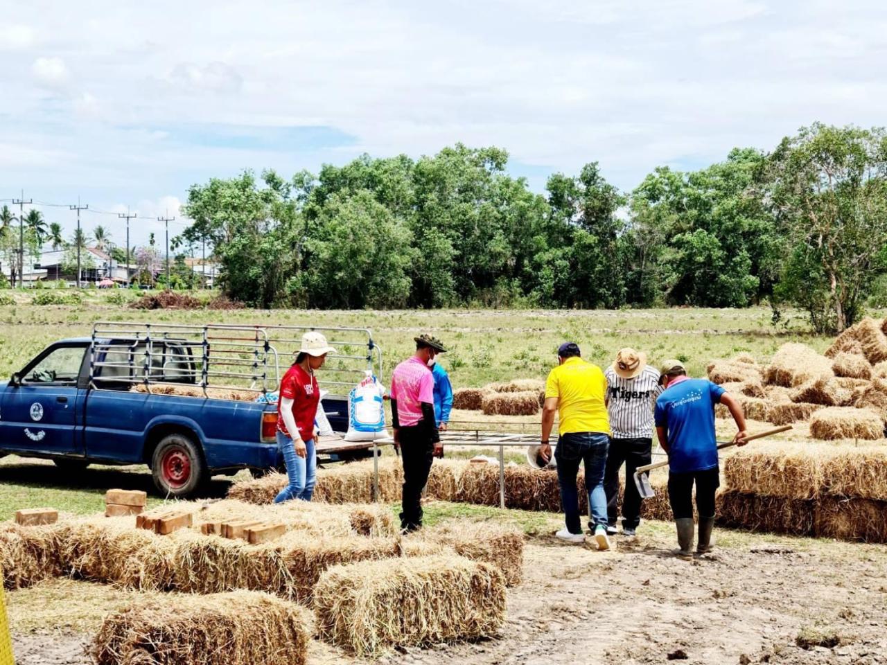 ภาพประกอบที่ 0
