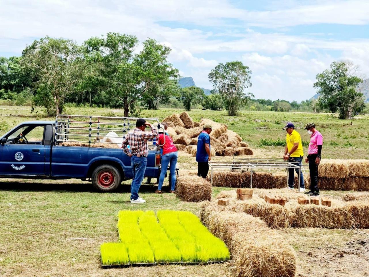 ภาพประกอบที่ 1