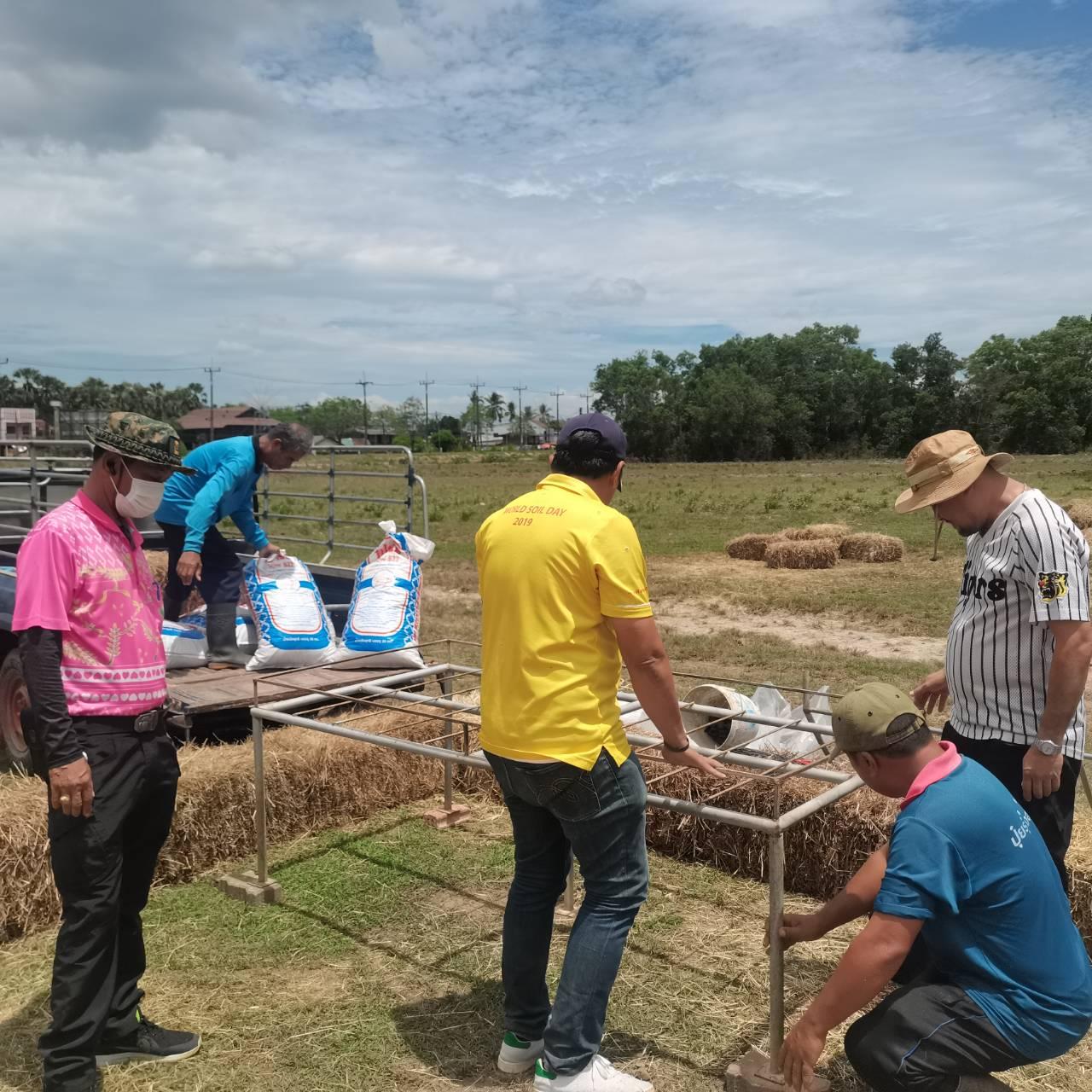 ภาพประกอบที่ 3