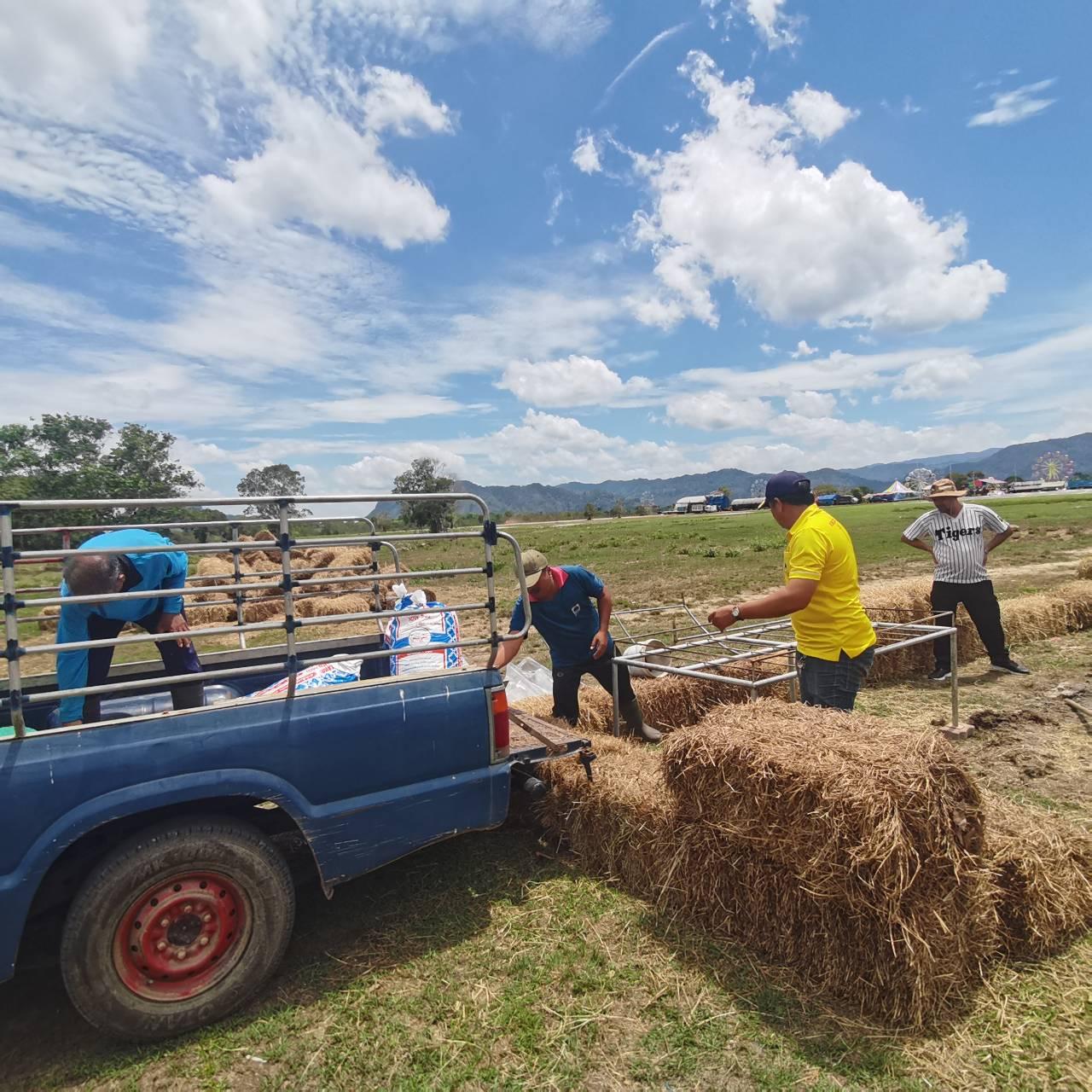 ภาพประกอบที่ 4