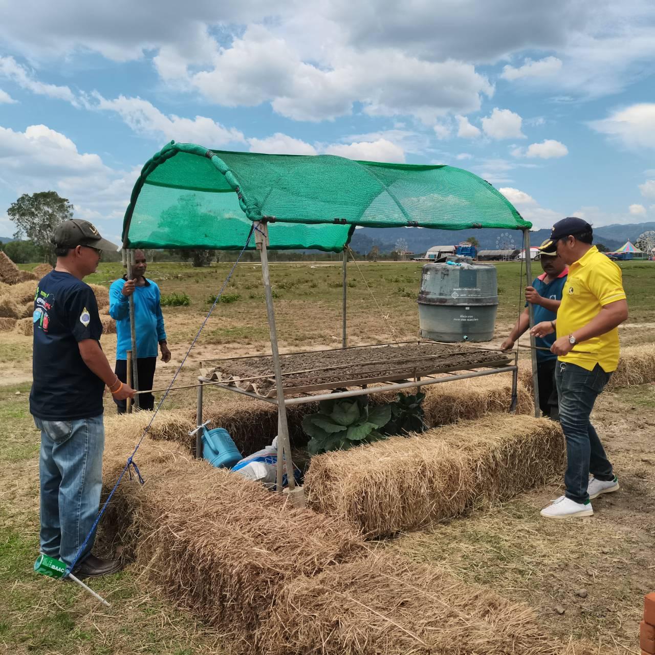 ภาพประกอบที่ 5