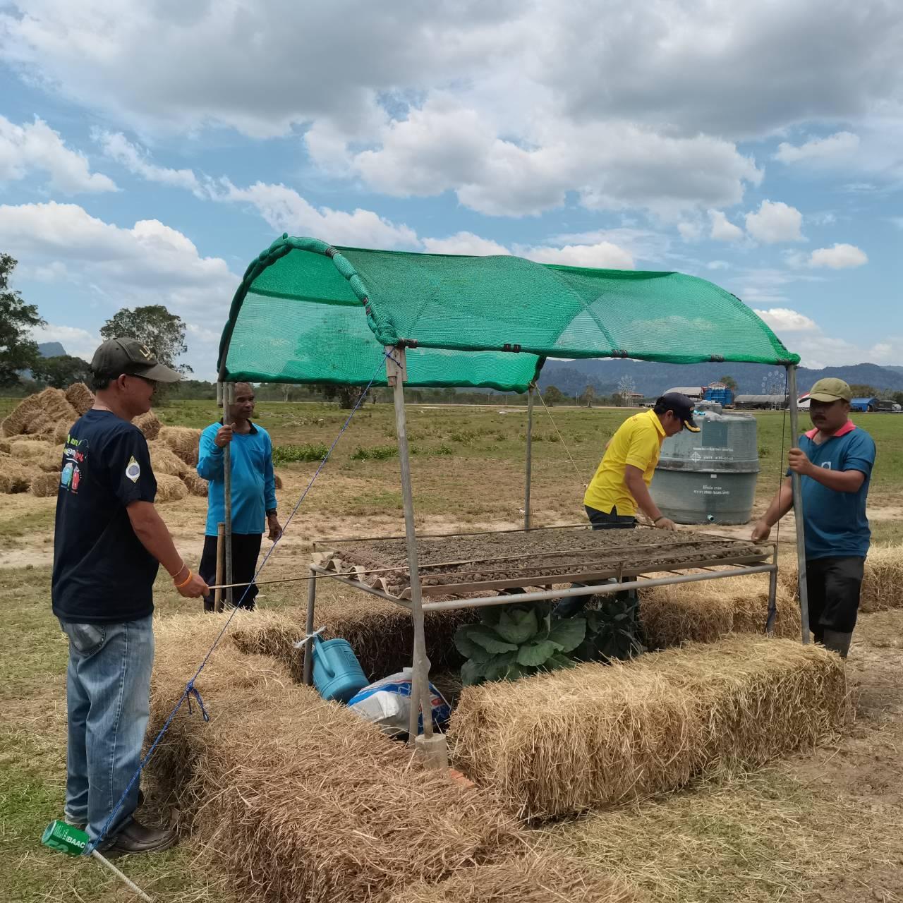 ภาพประกอบที่ 6