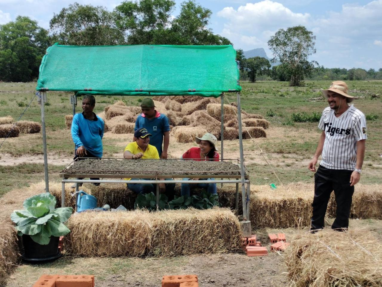 ภาพประกอบที่ 7