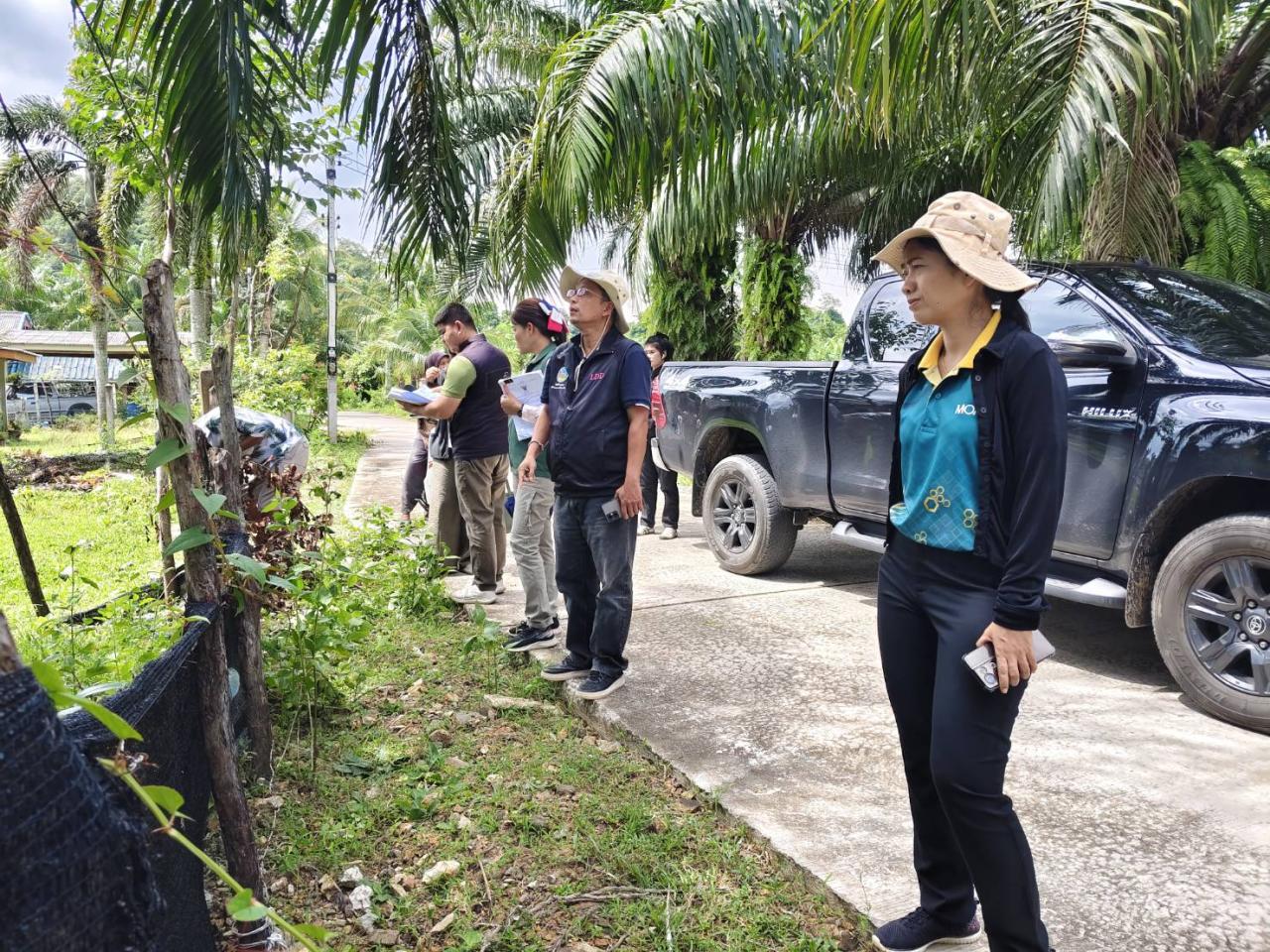 ภาพประกอบที่ 4