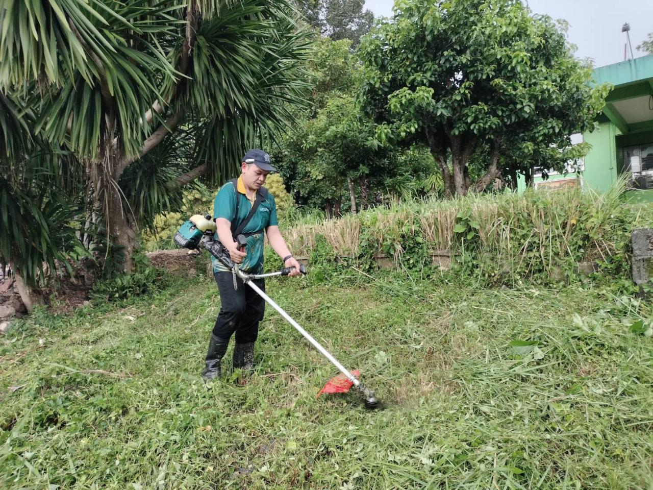 ภาพประกอบที่ 0