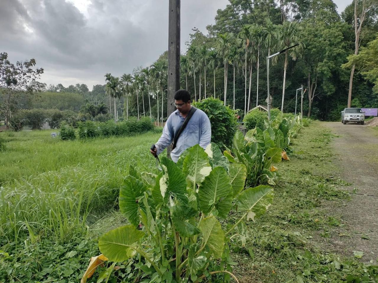 ภาพประกอบที่ 4