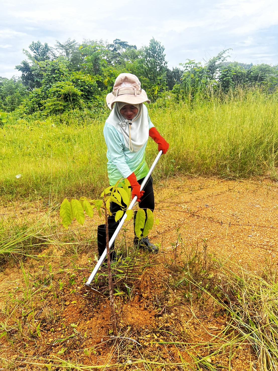 ภาพประกอบที่ 6