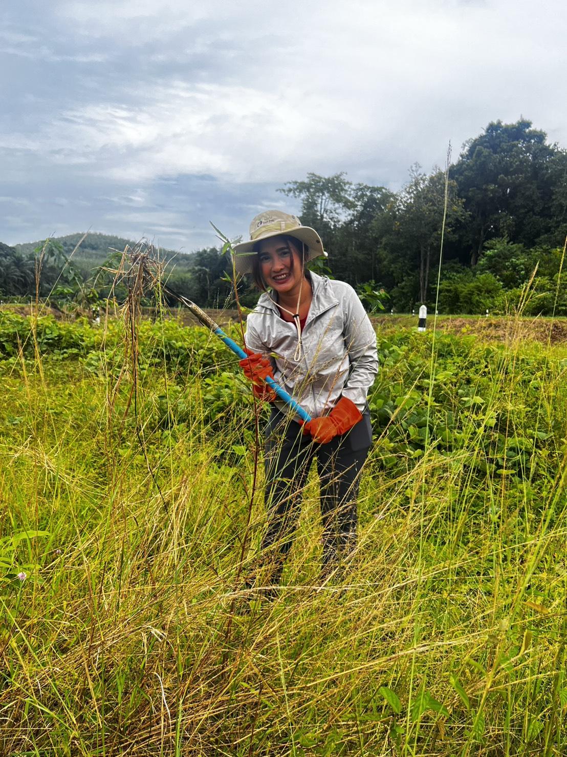 ภาพประกอบที่ 7