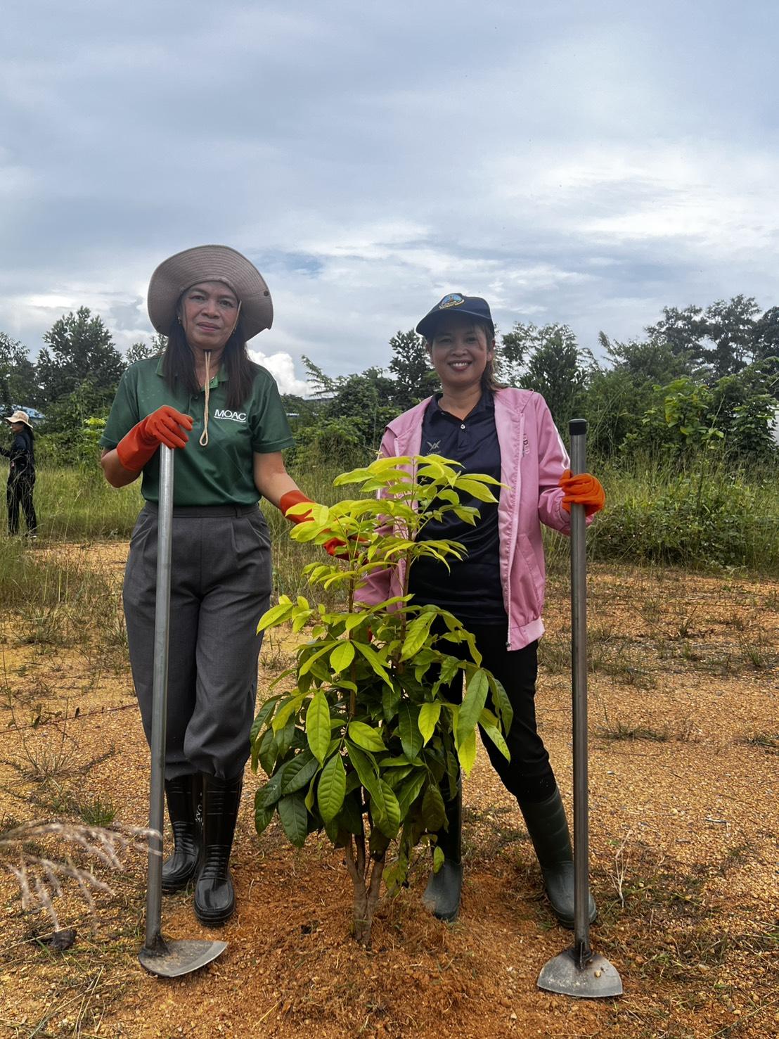 ภาพประกอบที่ 11