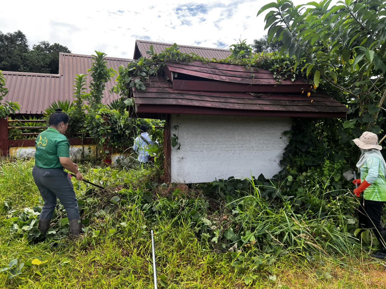 ภาพประกอบที่ 12