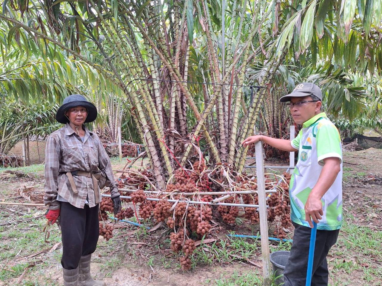 ภาพประกอบที่ 4