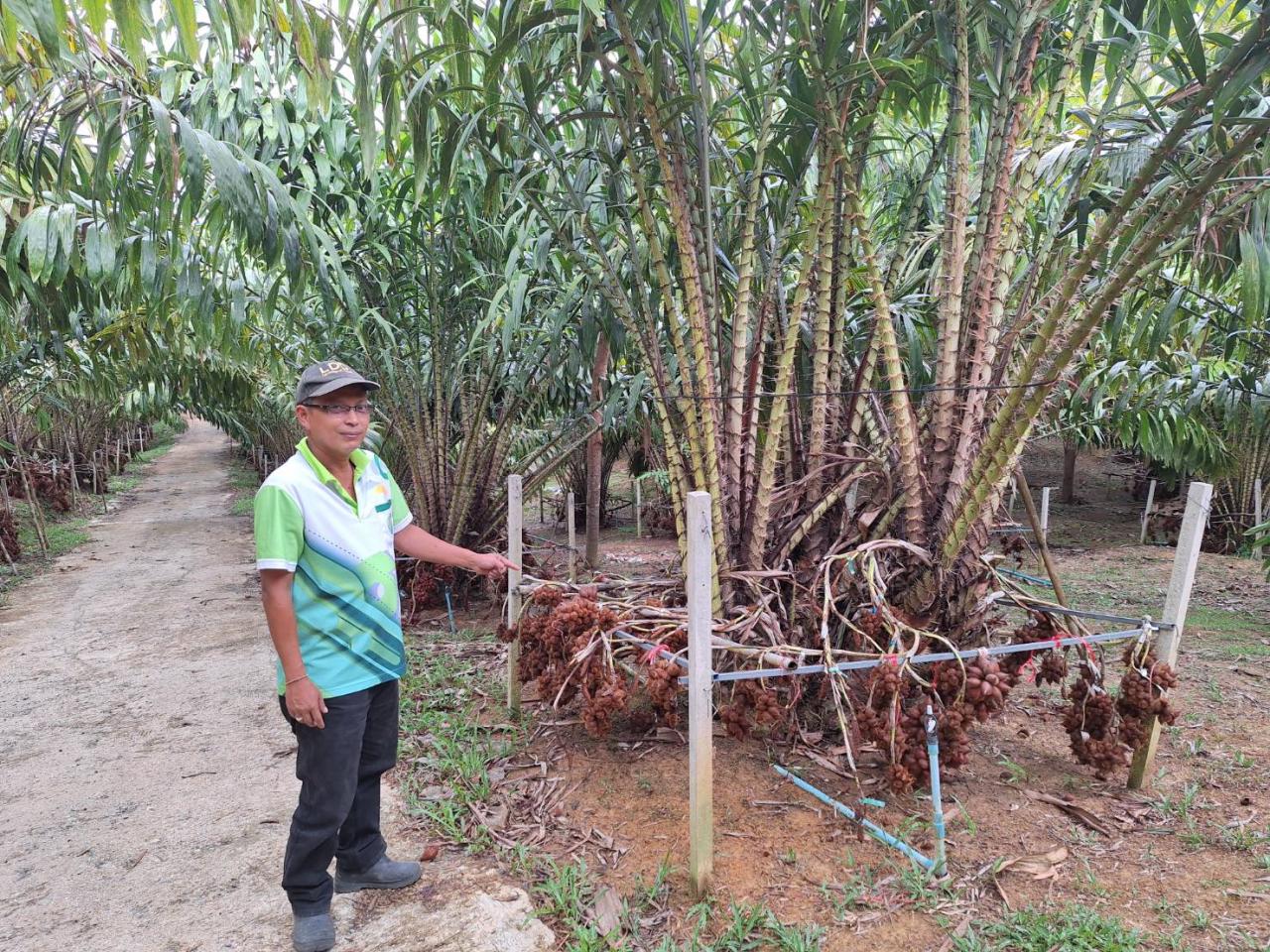 ภาพประกอบที่ 5