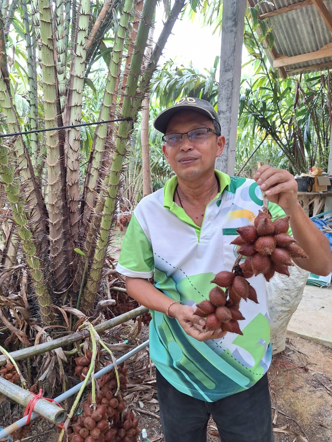 ภาพประกอบที่ 6