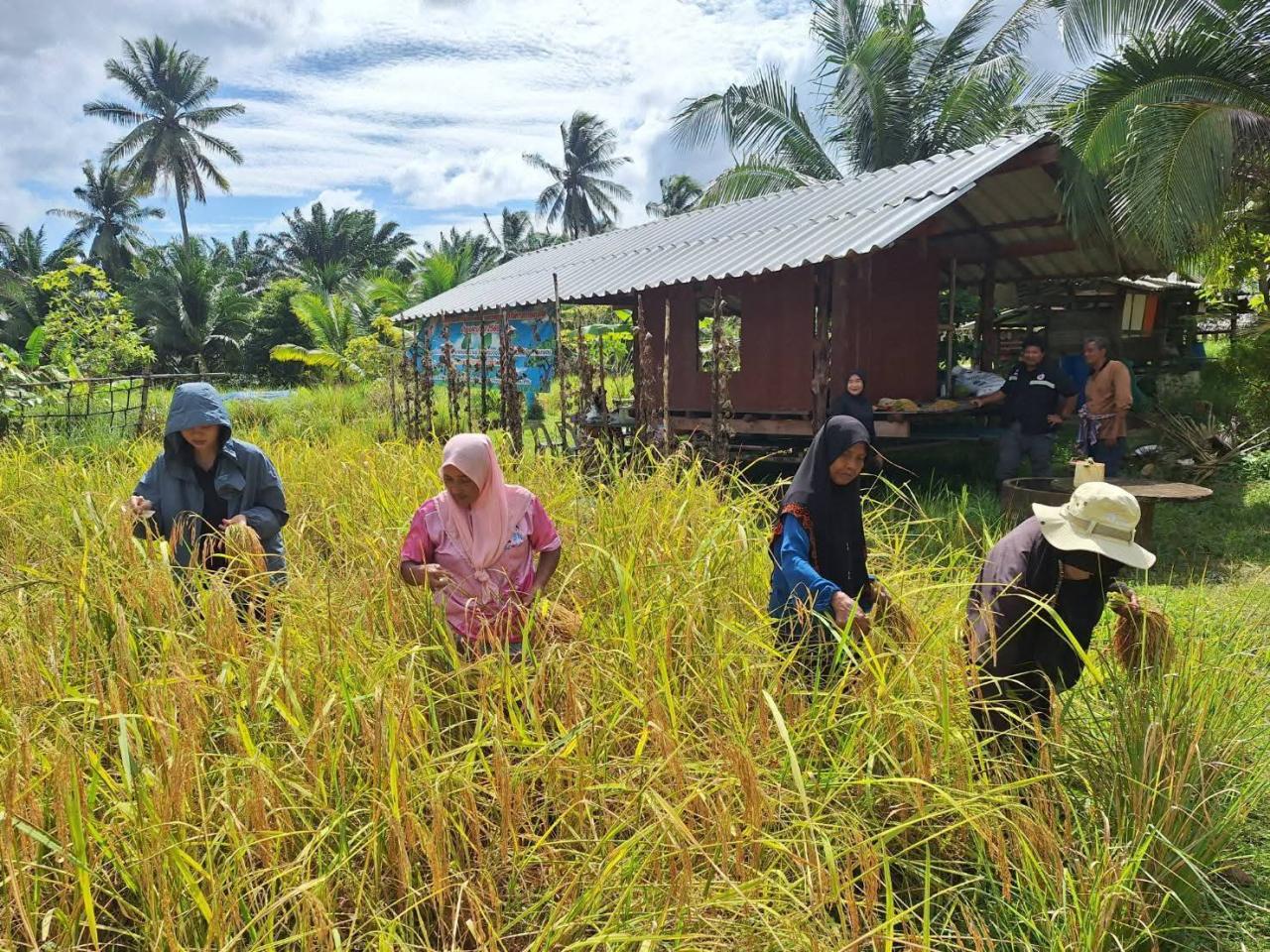 ภาพประกอบที่ 1