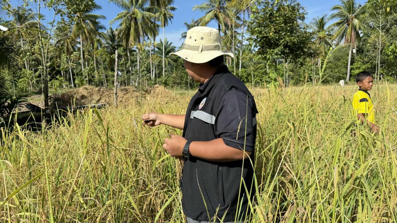 ภาพประกอบที่ 2