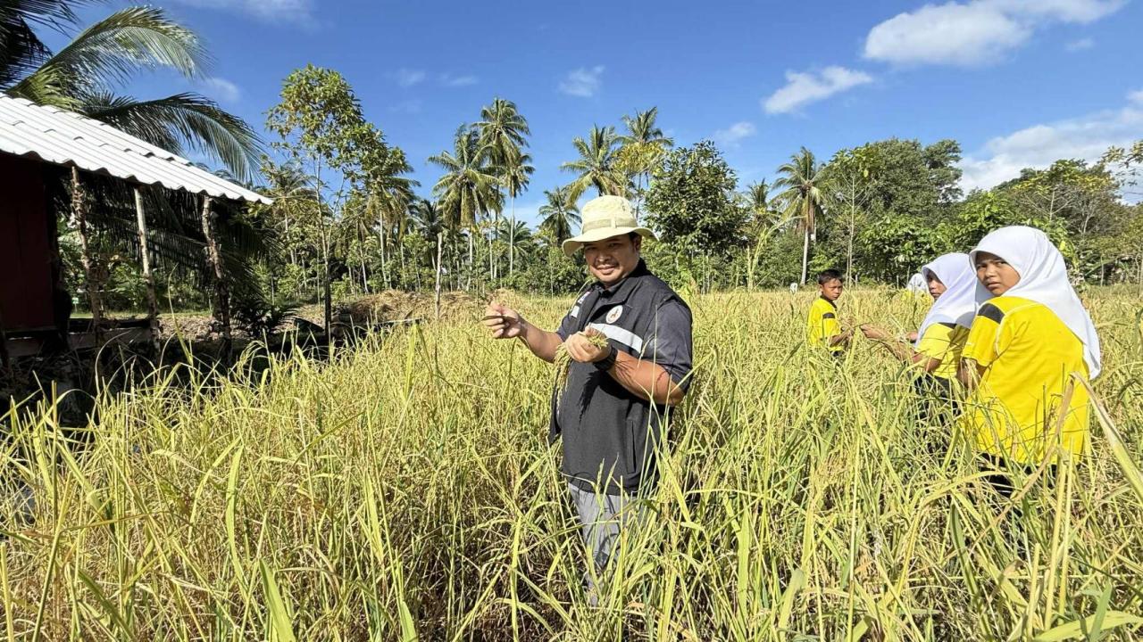 ภาพประกอบที่ 3