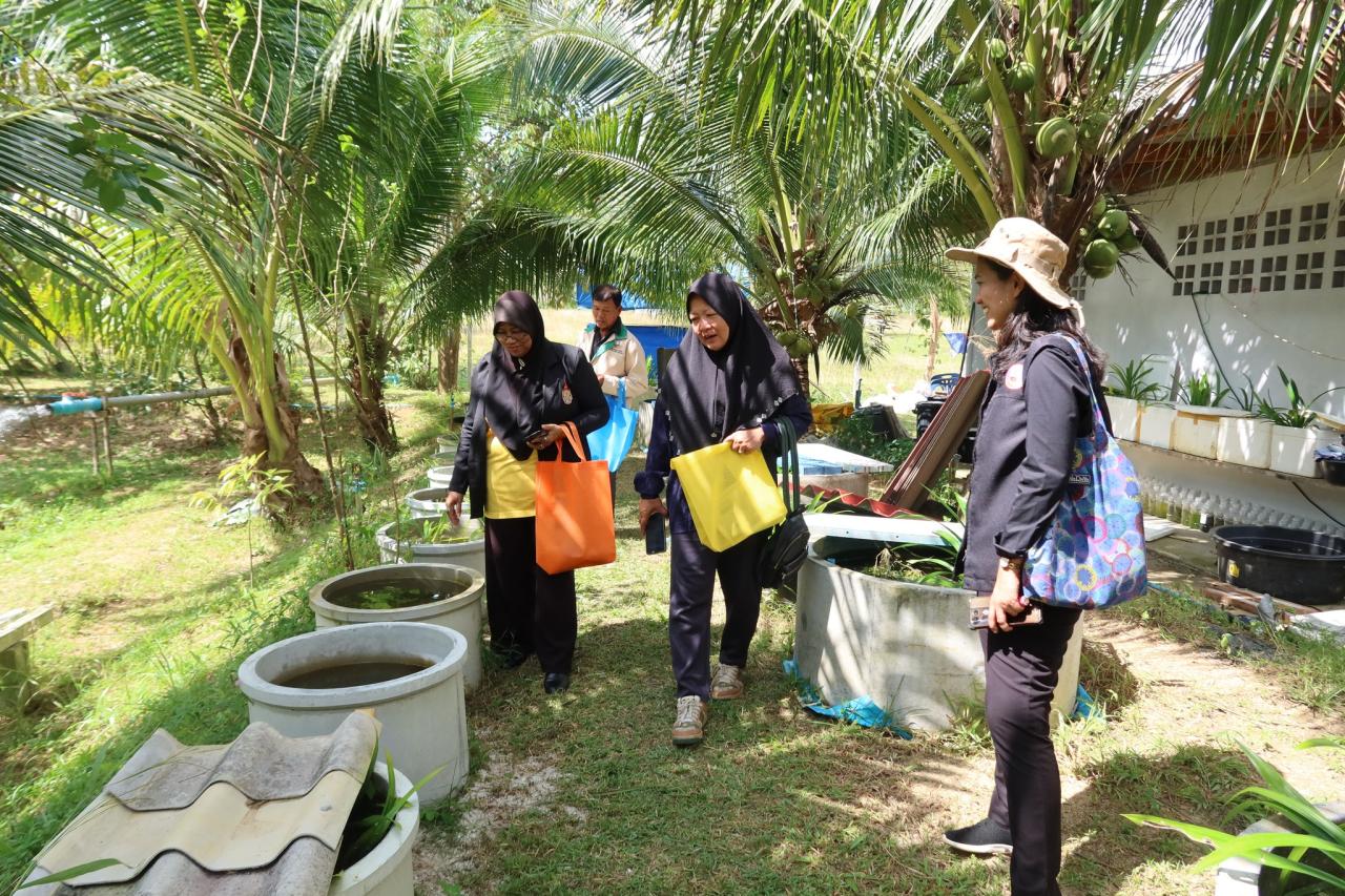 ภาพประกอบที่ 31