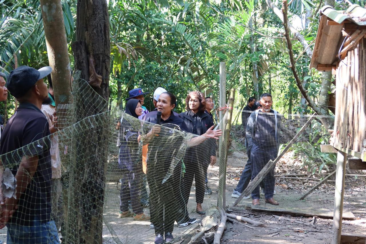 ภาพประกอบที่ 3