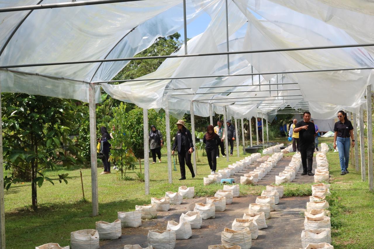 ภาพประกอบที่ 7