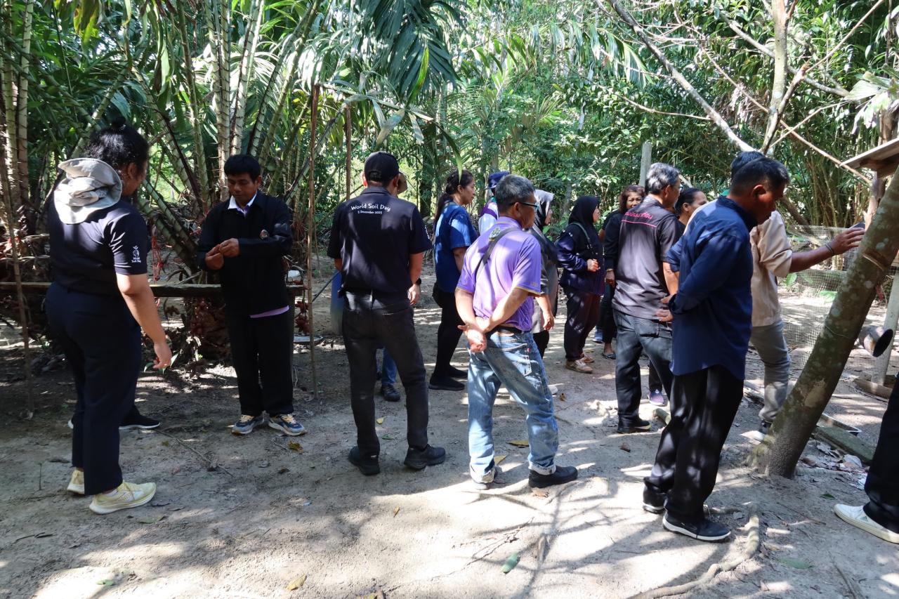 ภาพประกอบที่ 13