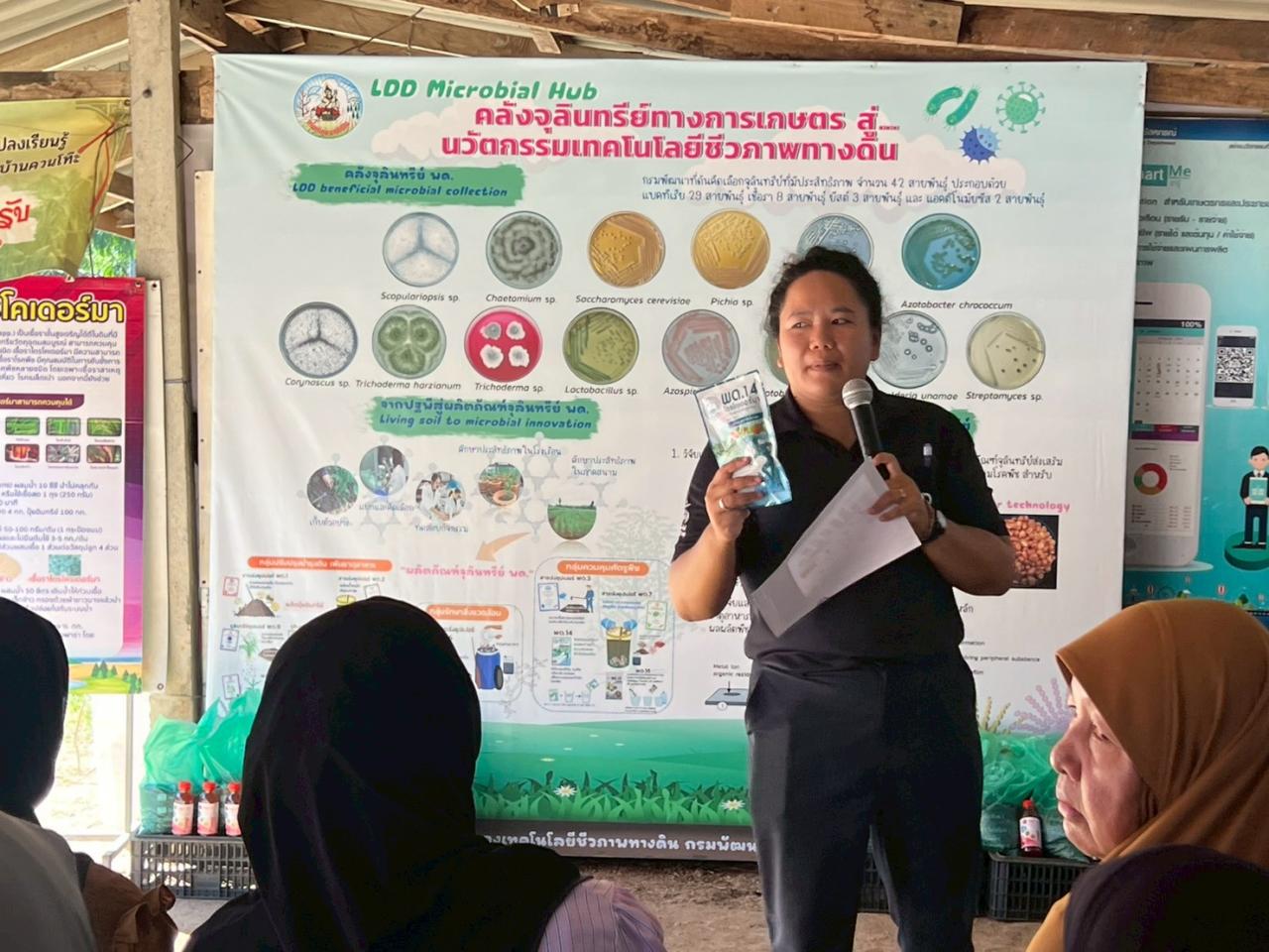 ภาพประกอบที่ 3