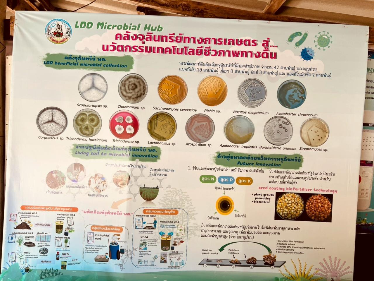 ภาพประกอบที่ 8