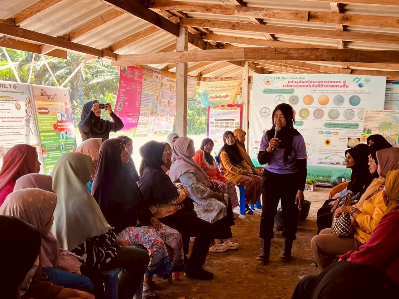 ภาพประกอบที่ 11