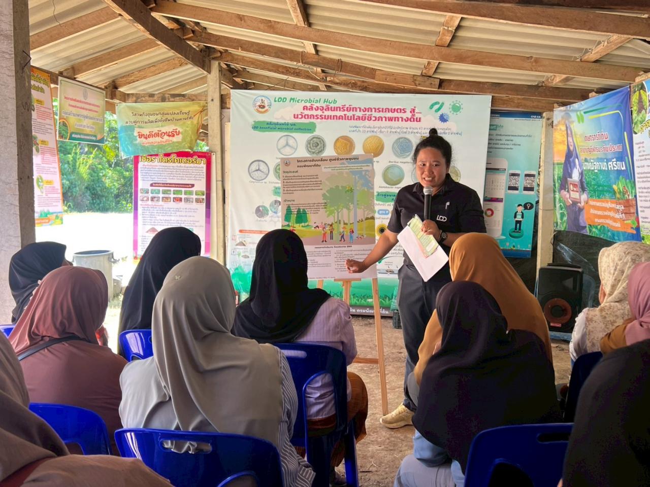 ภาพประกอบที่ 13