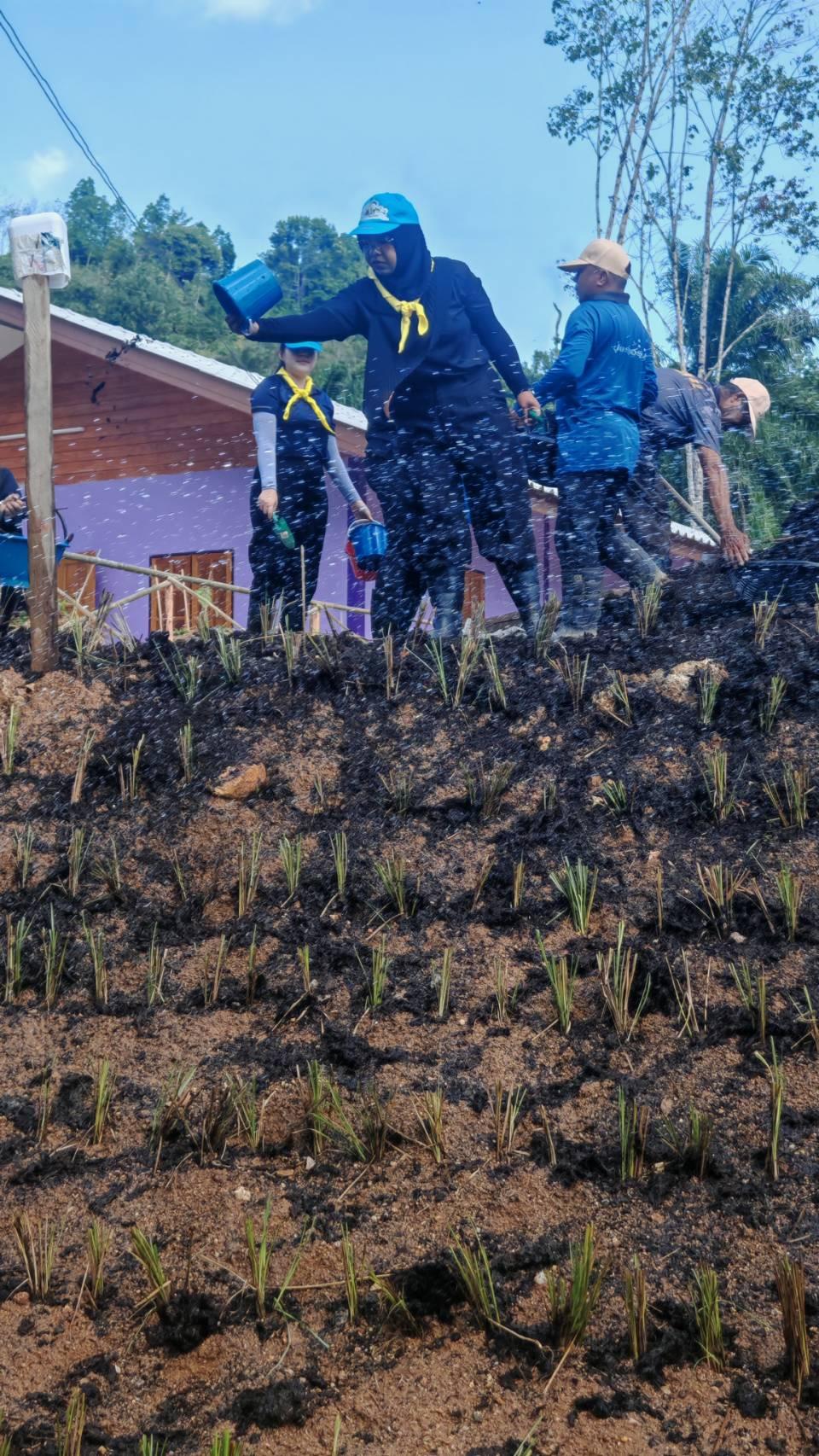 ภาพประกอบที่ 17
